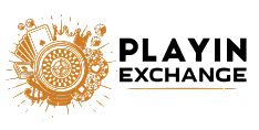 playin exch logo